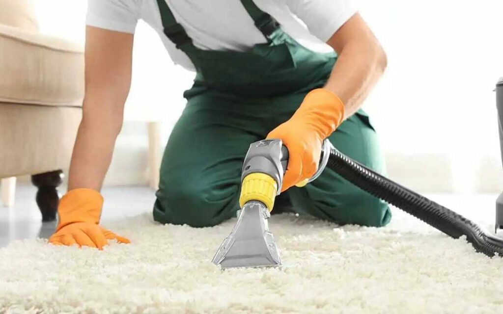 Professional Hoover Carpet Cleaner