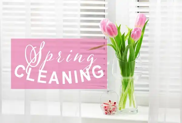 Spring Cleaning- A DIY Guide to Clean the Front Yard this Spring